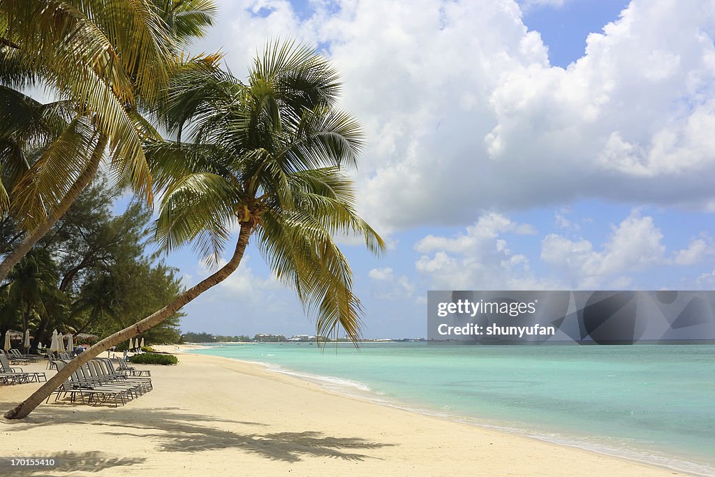 Caribbean: Dream Beach