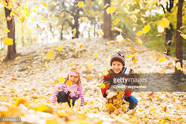 beautiful children playing in the heap of leaves. - young leafs stock pictures, royalty-free photos & images