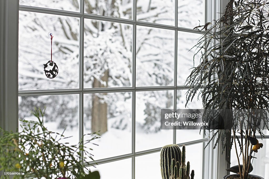 Serene Winter Blizzard Bay Window