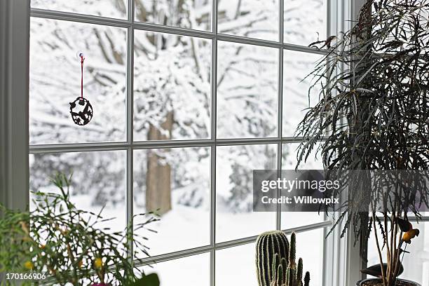 serene winter blizzard bay window - snow window stock pictures, royalty-free photos & images