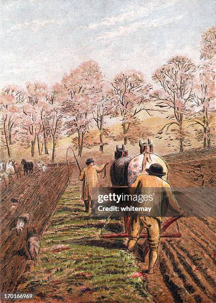 ilustrações, clipart, desenhos animados e ícones de fevereiro-ploughing um campo com cavalos - arado maquinaria de agricultura