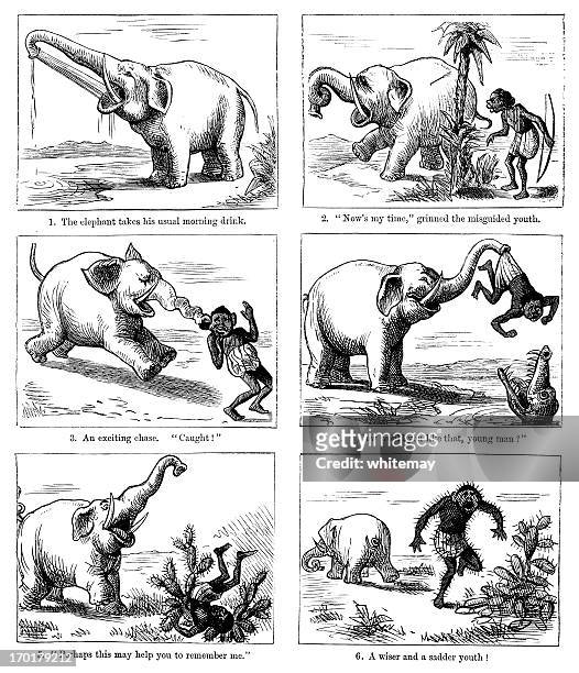 ethik-nie torment einem elefanten! - schwarz ethnischer begriff stock-grafiken, -clipart, -cartoons und -symbole