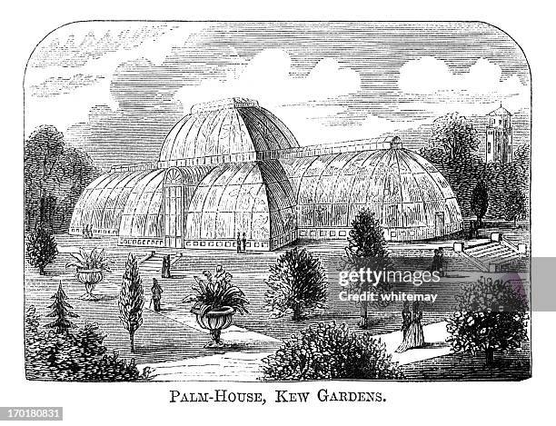 the palm house at kew gardens (1871 engraving) - kew gardens conservatory stock illustrations