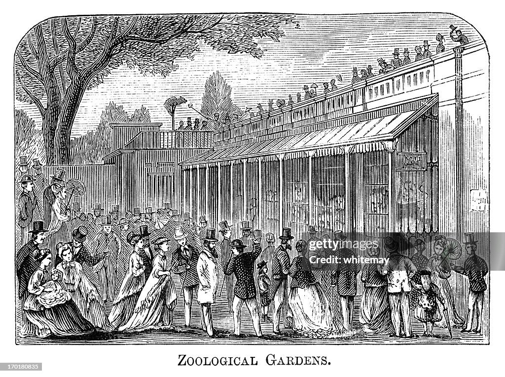 Zoological Gardens, London (1871 engraving)
