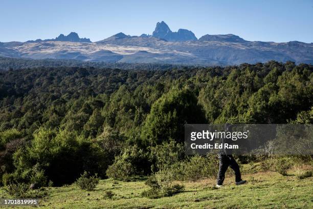 Mount Kenya is lit by early morning sun as as ranger walks across the gras near the Sirimon Gate on September 30, 2023 in Mount Kenya National Park,...