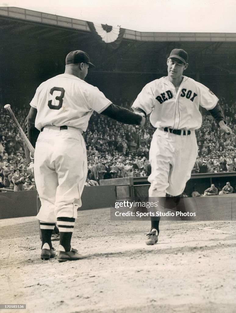 Baseball Player Ted Williams