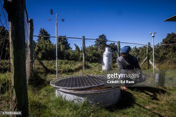 Charles Mwangi, weather station operator checks a device for measuring evaporation at the Meteorological Station on Mount Kenya on September 29, 2023...