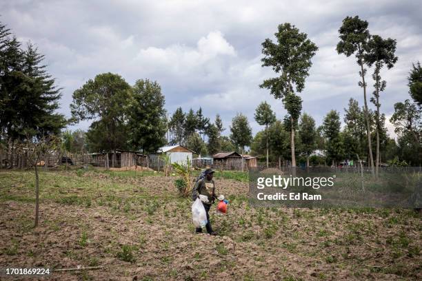 Porter and Chef Joseph Kimani, walks across a field with his cooking equipment to his home in Gitinga Village, where 60% of the men work as mountain...