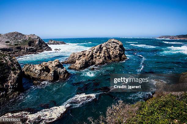 california coast - endangered species california stock pictures, royalty-free photos & images