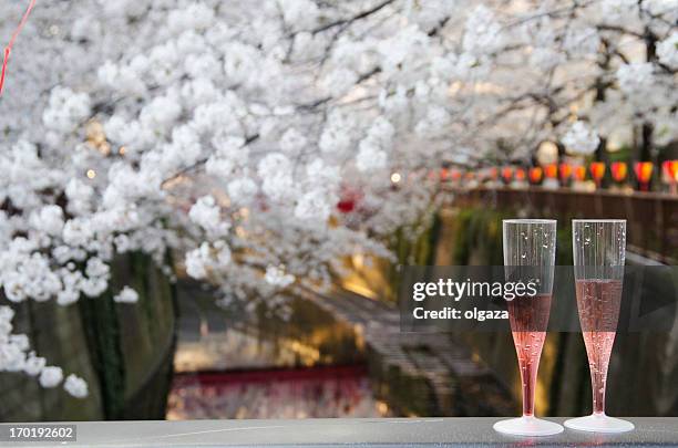 hanami - lantern festival cherry blossom stockfoto's en -beelden