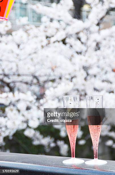 hanami - lantern festival cherry blossom stockfoto's en -beelden