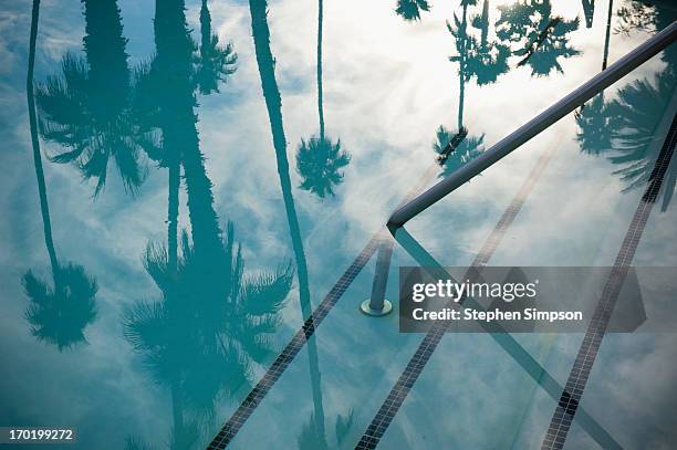 still swimming pool with palm tree reflections - palm springs imagens e fotografias de stock