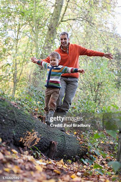 Father Log 36,466 Wood Log Stock Photos, High-Res Pictures, and Images - Getty Images