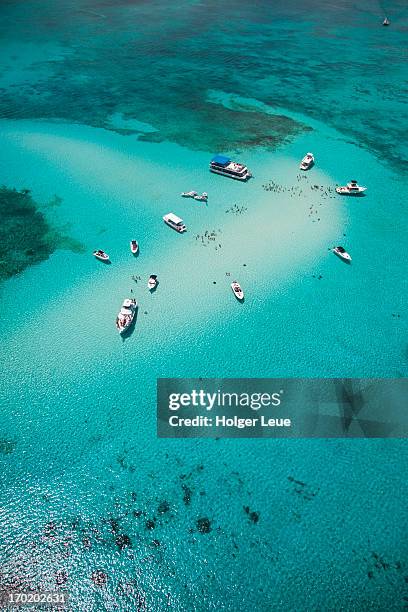aerial view of stingray city sand bank - grand cayman stock pictures, royalty-free photos & images