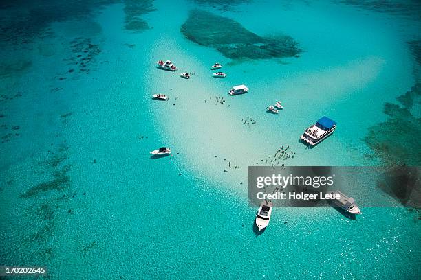 aerial view of stingray city sand bank - grand cayman stock pictures, royalty-free photos & images