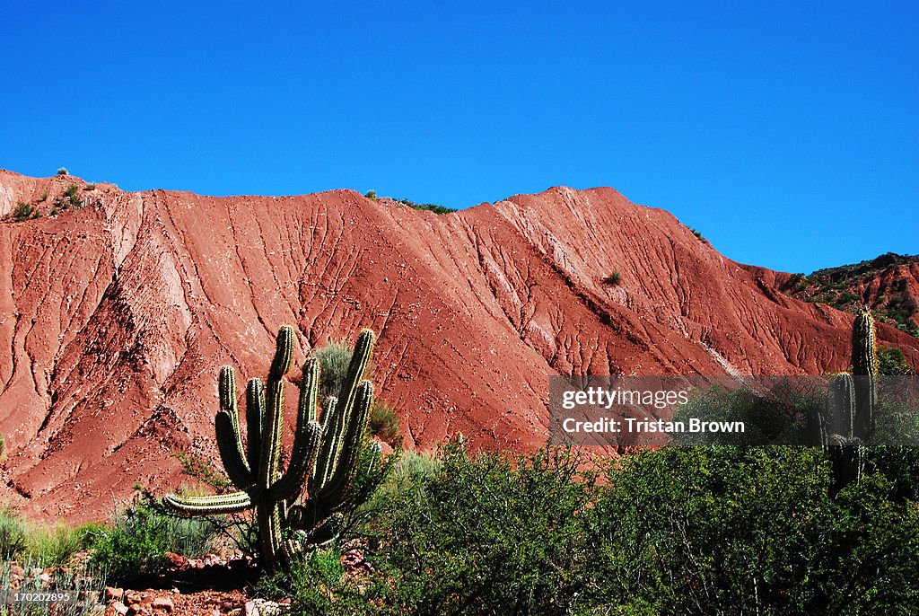 Bolivia, Tupiza