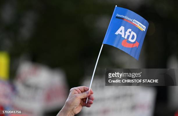 Supporter waves a flag with the party logo during an election campaign event of the far-right Alternative for Germany AfD party in Munich, southern...