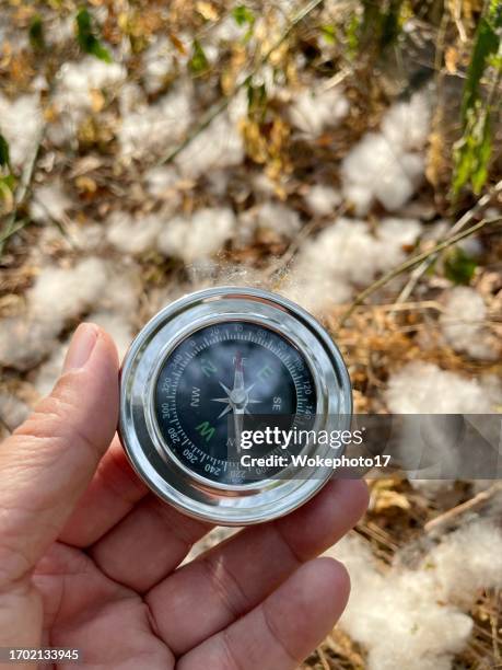Confused Compass Photos and Premium High Res Pictures - Getty Images