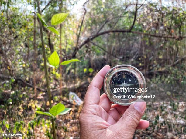 Confused Compass Photos and Premium High Res Pictures - Getty Images
