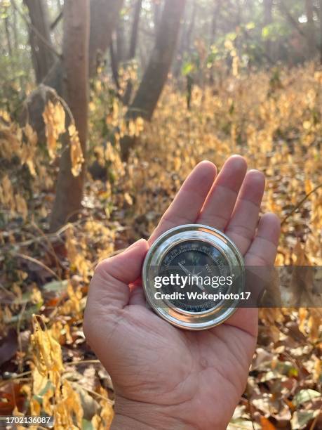 Confused Compass Photos and Premium High Res Pictures - Getty Images