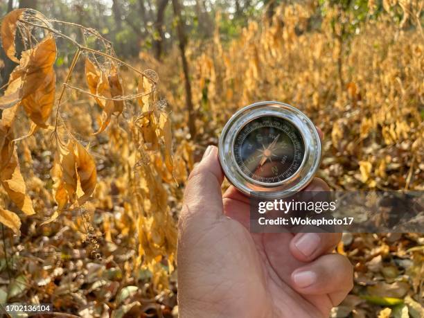 Confused Compass Photos and Premium High Res Pictures - Getty Images
