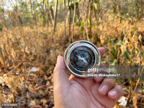 Confused Compass Photos and Premium High Res Pictures - Getty Images