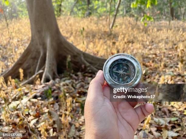 Confused Compass Photos and Premium High Res Pictures - Getty Images