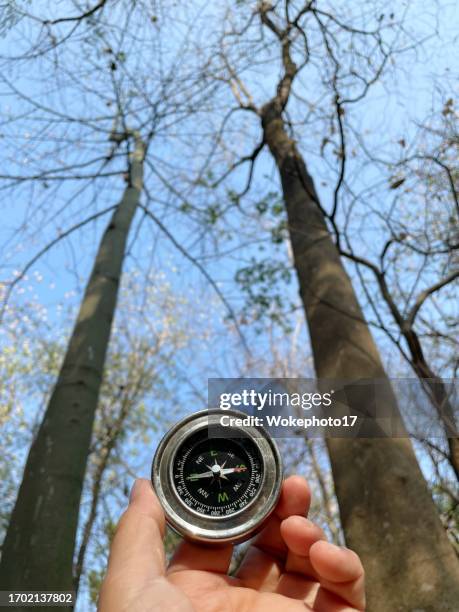 Setting Direction Picture Guide Direction Concept Photos and Premium High Res Pictures - Getty Images