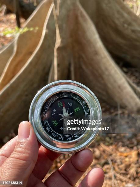 Confused Compass Photos and Premium High Res Pictures - Getty Images