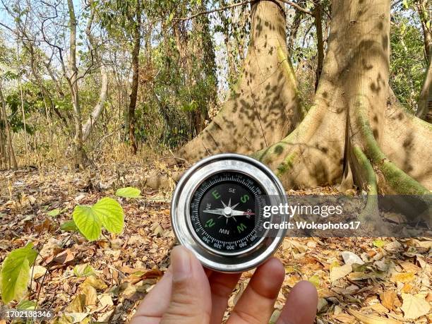 Confused Compass Photos and Premium High Res Pictures - Getty Images