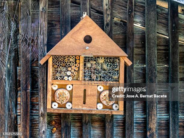 insect hotel hanging over a wooden cabin. - wooden insect shelter imagens e fotografias de stock