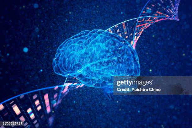 brain and genomic dna - wissenschaftliche bildtechnik stock-fotos und bilder