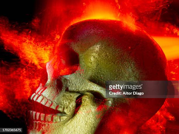 a skull on fire. - concentration camp stock pictures, royalty-free photos & images