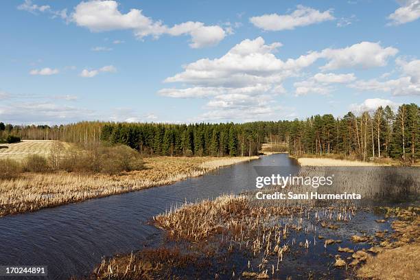 pappilanjoki river on a sunny spring day - finland spring stock pictures, royalty-free photos & images