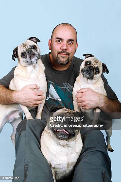 pile of pugs - man goatee stock pictures, royalty-free photos & images