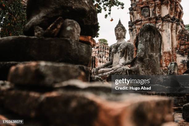 buddha statue in ayutthaya - king of cambodia stock-fotos und bilder