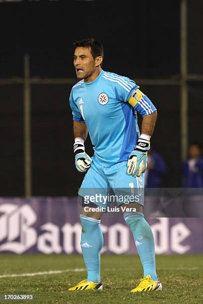 Justo Villar goalkeeper of Paraguay in action during the match between Paraguay and Chile as part of the South American Qualifiers for FIFA World Cup...