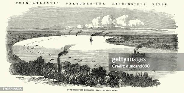 flussboote, den unteren mississippi hinunter, von baton rouge, amerikanische geschichte, 1850er jahre 19. jahrhundert - raddampfer stock-grafiken, -clipart, -cartoons und -symbole