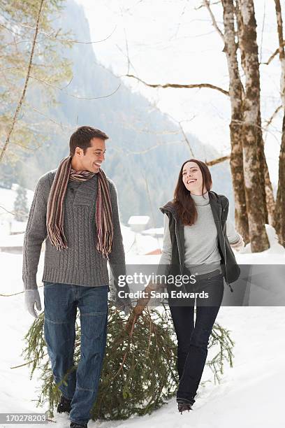 couple pulling christmas tree in woods - drag christmas tree stock pictures, royalty-free photos & images