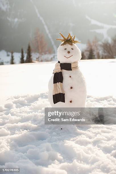 schneemann - snowman stock-fotos und bilder