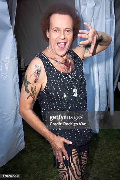 Fitness personality Richard Simmons attends 2013 LA Gay Pride Festival - Day 3 on June 9, 2013 in West Hollywood, California.