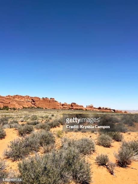 landscape and red rock formations at arches national park - utah, in spring - american wilderness stock pictures, royalty-free photos & images