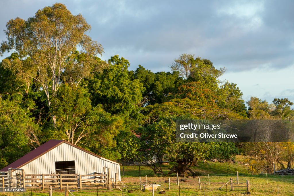 Ball Lookout, Eumundi, Queensland