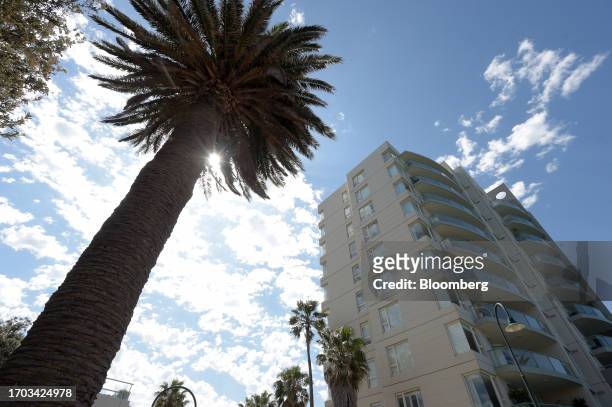 Palm tree next a residential apartment block in the suburb of Beacon Cove in the Port of Melbourne, Australia, on Monday, Oct. 2, 2023....