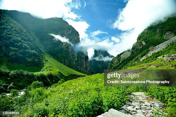 valley of flowers - valley of flowers uttarakhand foto e immagini stock