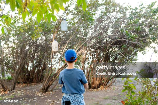 lonely boy in a t-shirt and a cap stands by the bushes, rear view - lost stock pictures, royalty-free photos & images