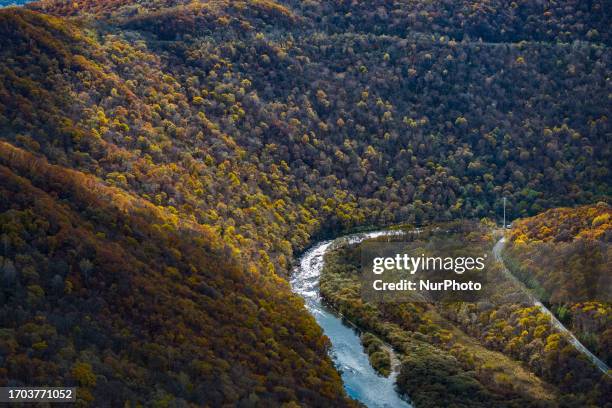 Lesser Khingan 84 Lesser Khingan Mountains Stock Photos, High-Res Pictures, and Images ...