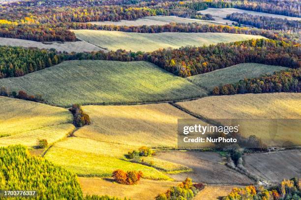 Lesser Khingan 87 Lesser Khingan Mountains Stock Photos, High-Res Pictures, and Images ...