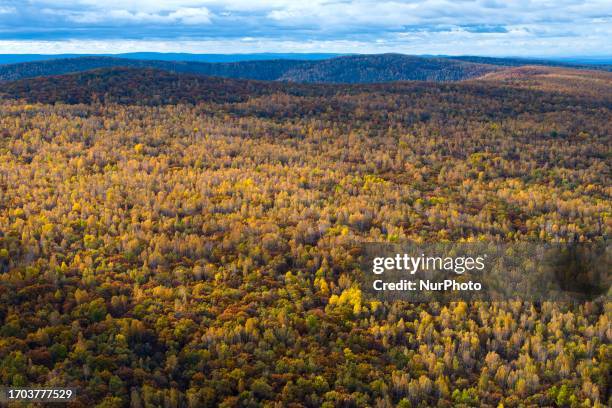 Lesser Khingan Lesser Khingan Mountains Photos and Premium High Res Pictures - Getty ...