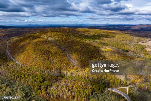 Lesser Khingan 87 Lesser Khingan Stock Photos, High-Res Pictures, and Images - Getty ...